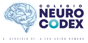 logo-COLOR-300x300